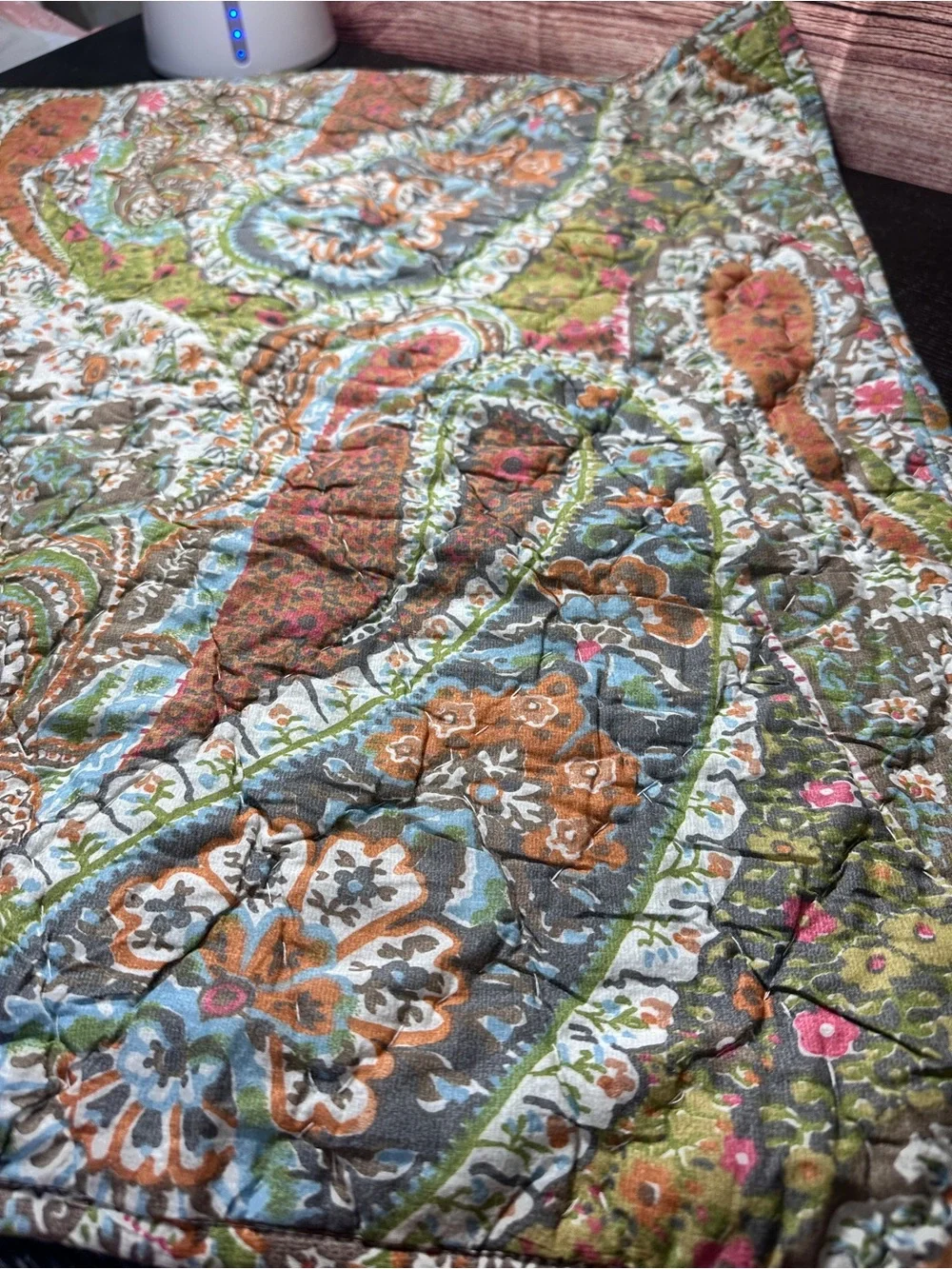 Pottery Barn Zia paisley ikat quilted Euro pillow cover Sham NWOT